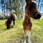 Üdülőpark Aquahause Pataias